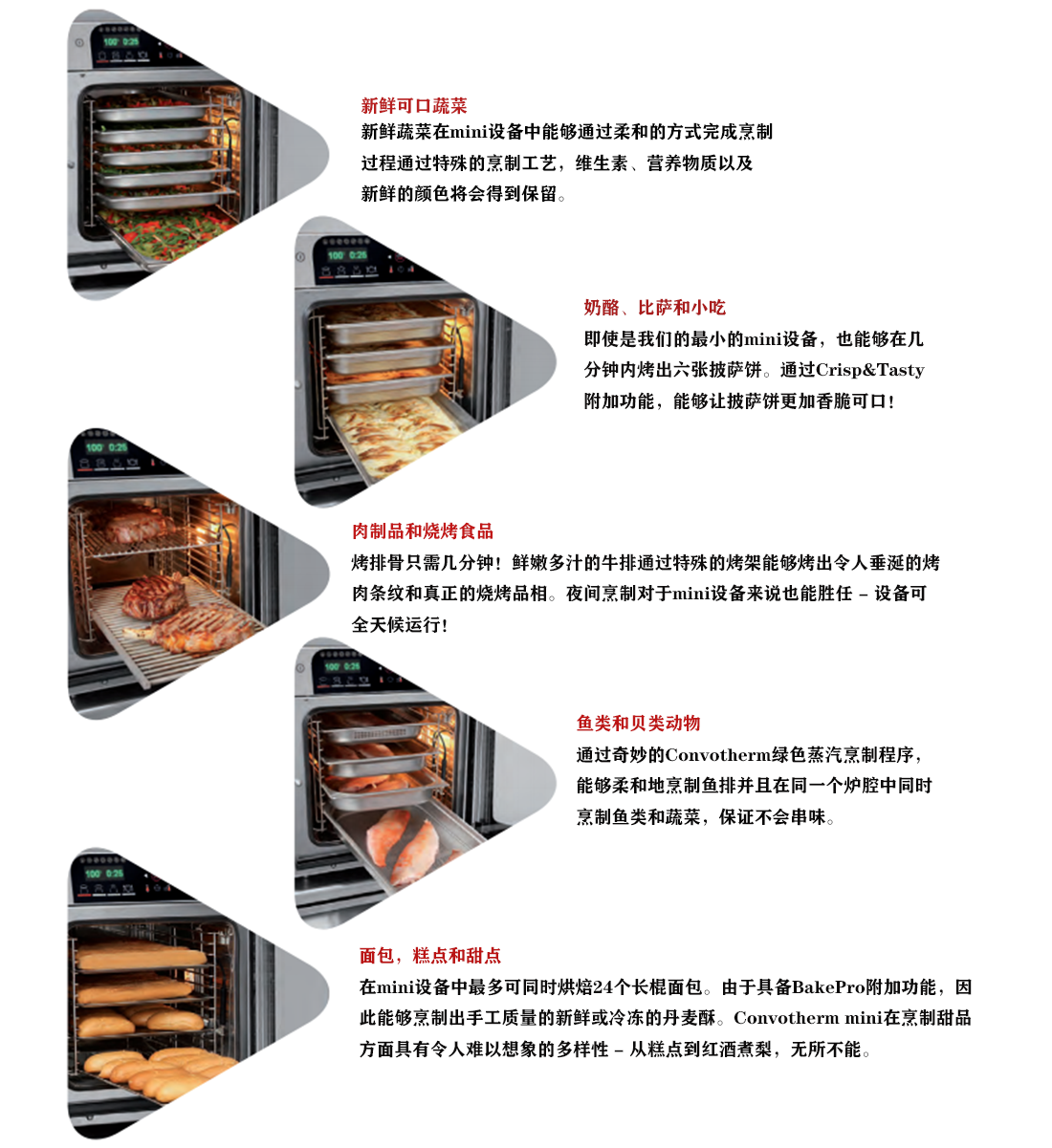 Convotherm mini